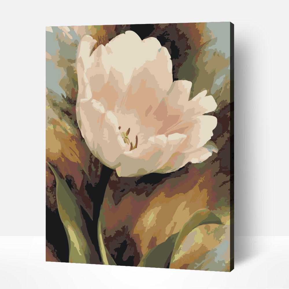 Fehér tulipán 1 Fehér tulipán