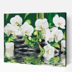 Zen számfestő készlet