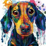 allatos-szamfesto-kategoria