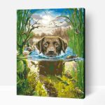 Hűsítő úszkálás