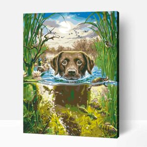 Hűsítő úszkálás