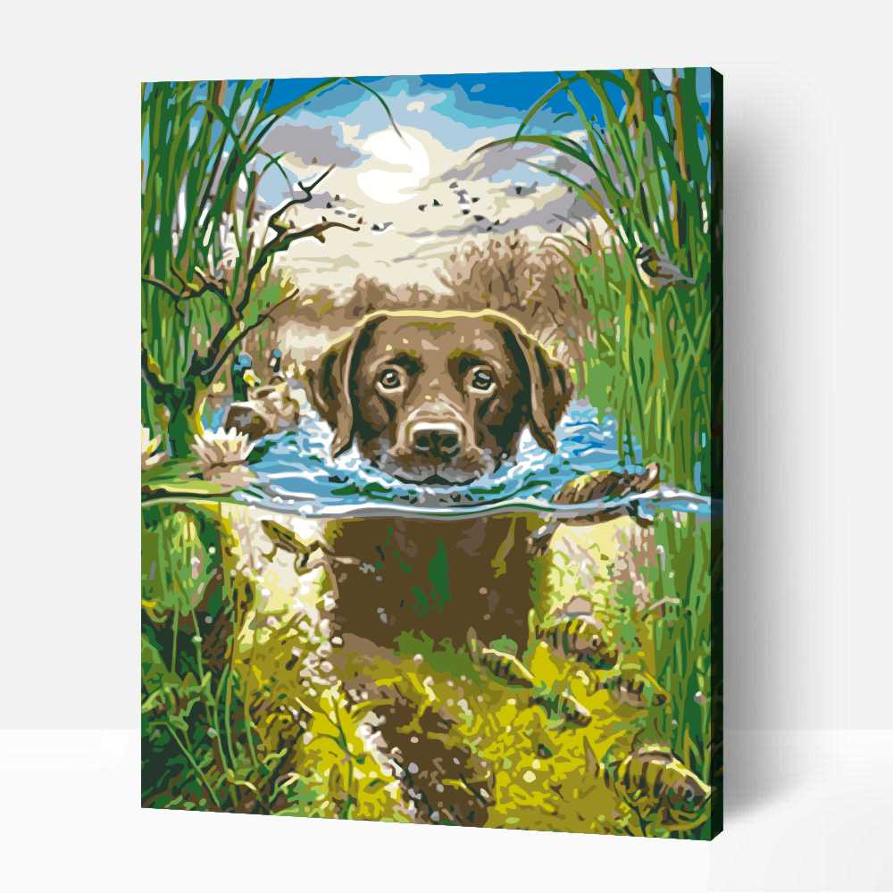 Hűsítő úszkálás 1 Hűsítő úszkálás