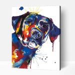 Labrador