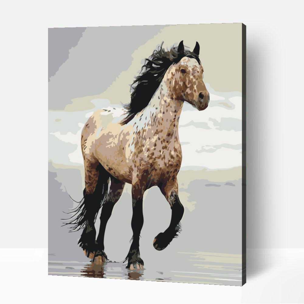 Tarka ló 1 Tarka ló