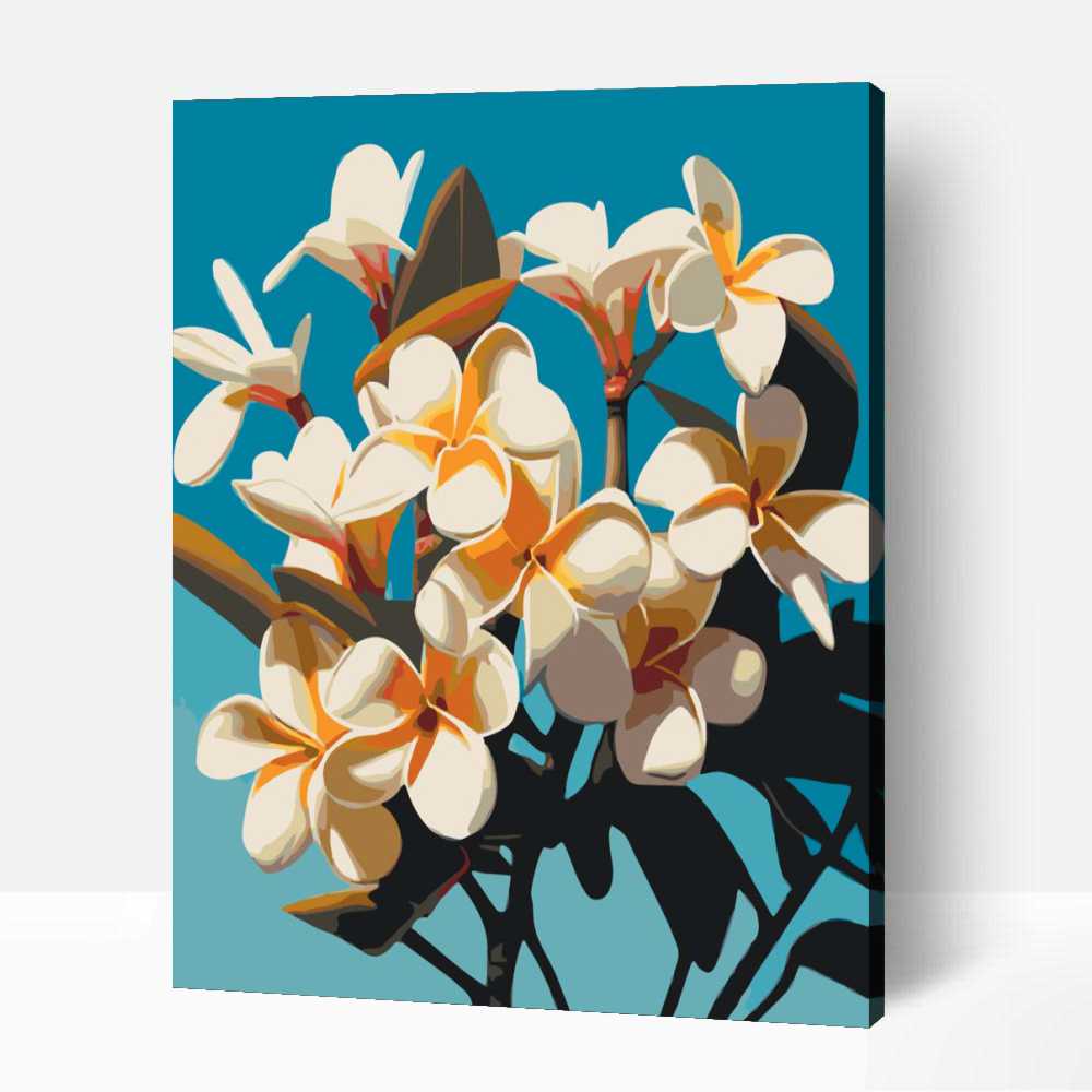 Napsütötte frangipani 1 Napsütötte frangipani
