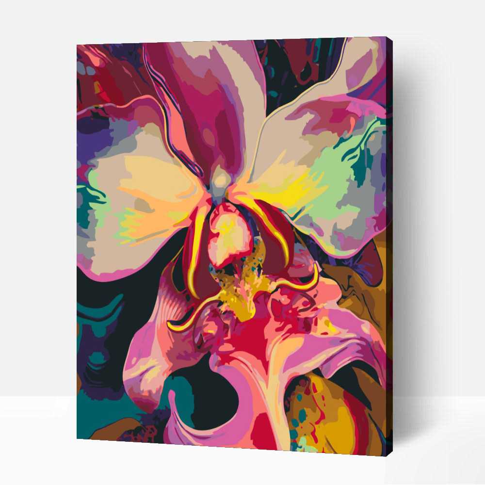Színpompás orchidea szirmok 1 Színpompás orchidea szirmok