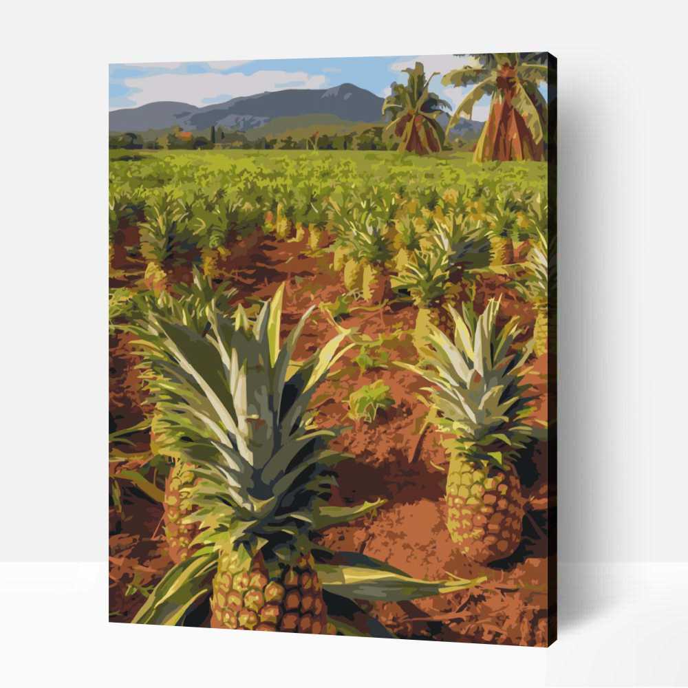 Ananász ültetvény számfestő 1 Ananász ültetvény számfestő