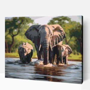 Közös fürdés elefánt család számfestő