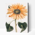 Johan Teyler Napraforgó számfestő