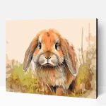 Holland lop számfestő