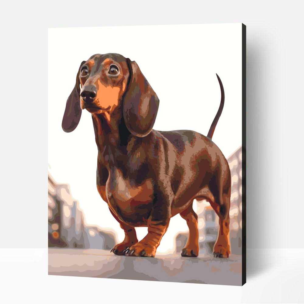 Merengő tacskó számfestő 1 Merengő tacskó számfestő