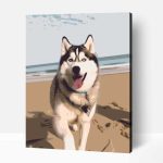 Séta a parton szibériai husky számfestő