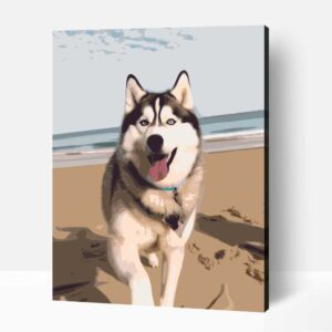 Séta a parton szibériai husky számfestő