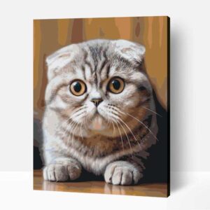 Skót lógófülü macska számfestő