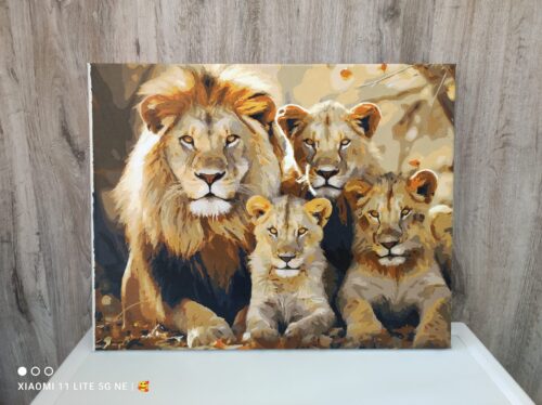 Oroszlán család számfestő photo review