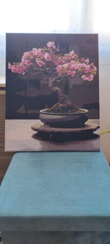 Csillogó bonsai  számfestő photo review