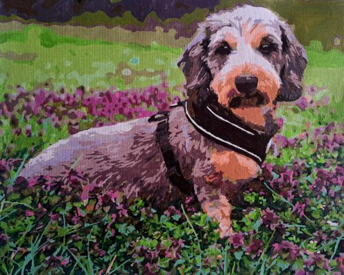 Reggeli egy indiai városban számfestő photo review