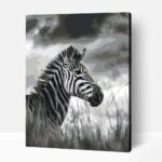 Büszke zebra számfestő