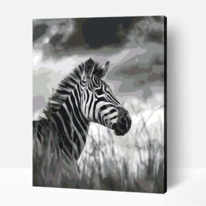 Büszke zebra számfestő