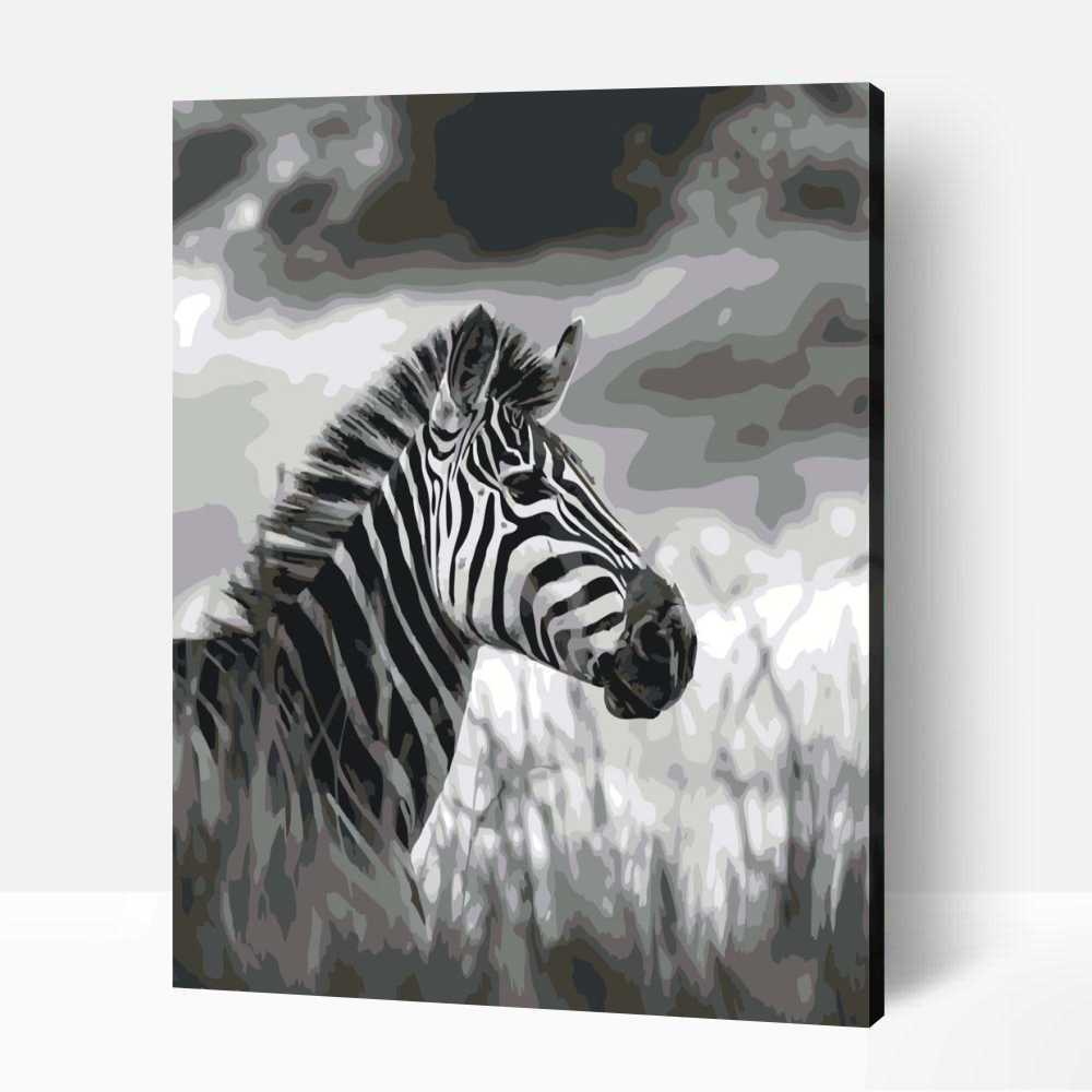 Büszke zebra számfestő 1 Büszke zebra számfestő