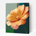 Gyöngéd szirmok számfestő