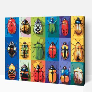 Bogár gyűjtemény számfestő