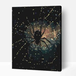 Pók az éjszakában számfestő