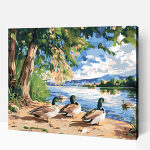 Fürdőző kacsák számfestő