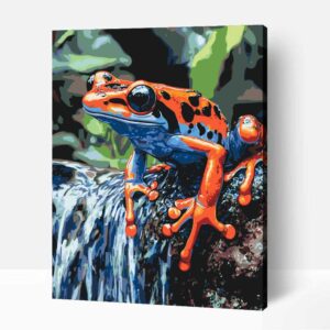 Nyílméregbéka számfestő