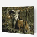 Muflon a növényzetben számfestő