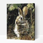 Nyúl az ürege előtt számfestő